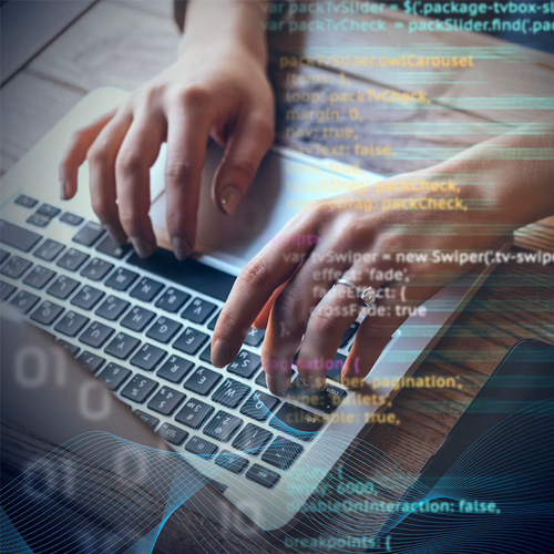 Customized Software Development